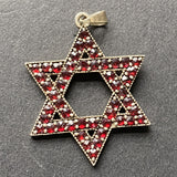 Jewish Star Mogen David Pendant Antique Bohemian Garnets