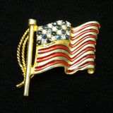 Stauer American Flag Pin